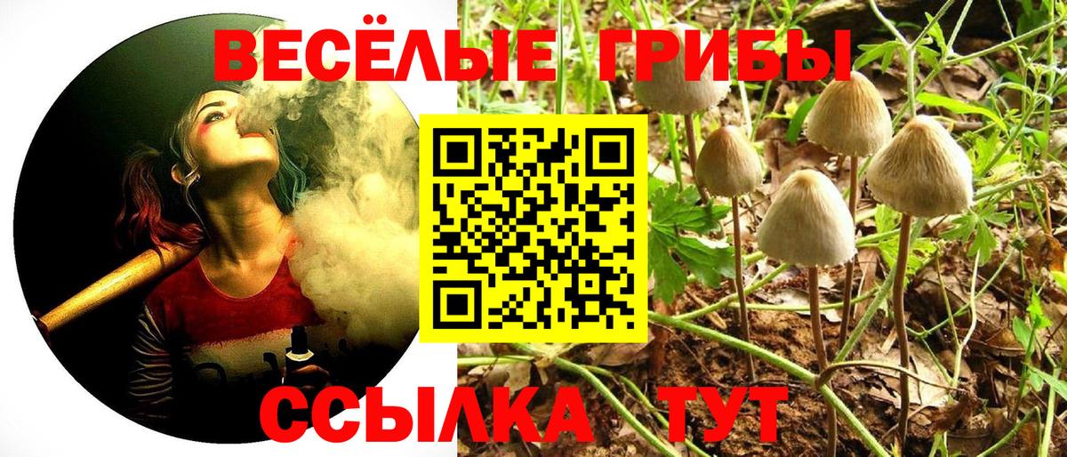 Грязи  Псилоцибиновые грибы Psilocybe  купить   Вход с VPN 