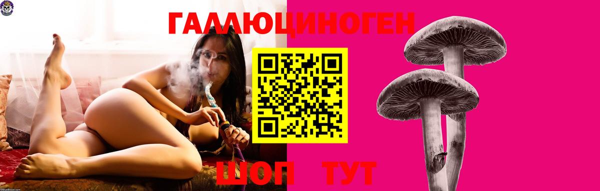 Псилоцибиновые грибы мицелий Грязи
